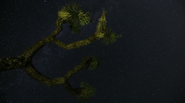 Sample clip shown for GPT Image